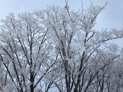 -长白山万达国际滑雪场