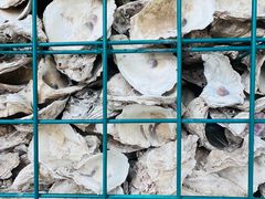 -福田红树林生态公园