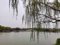 -塘沽森林公园
