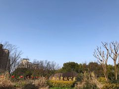 -新江湾城公园