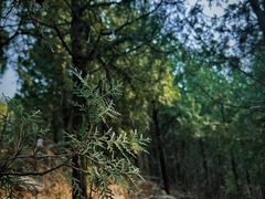 -龙洞风景区-藏龙涧