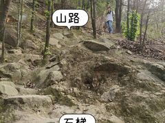-南山植物园