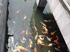 -长春观