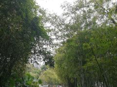 -晓港公园
