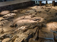 -自贡恐龙博物馆