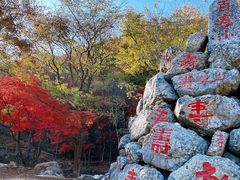 -龙道沟景区