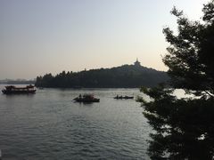 景点-西湖外事游船(花港观鱼码头)