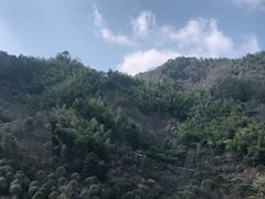 -四明山国家森林公园