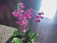 -黔蘑菇四季餐厅(观山湖店)