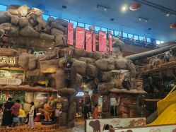 -卡通尼·Safari非洲探索乐园·生日会(金桥国际商业广场店)