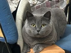 -宠福鑫康馨动物医院·骨科·眼科