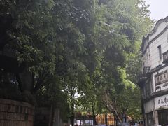 -南宋御街