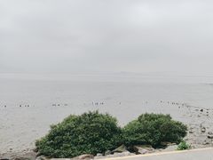 -深圳湾公园(南山区)