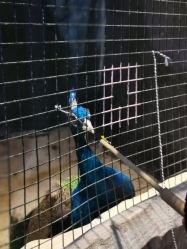 -酷嗒动物文化乐园(cutezoo西溪乐天城店)