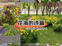 -翠湖公园
