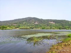 -长广溪湿地公园
