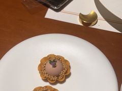 -觀芷隐轩
