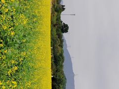 -光明小镇欢乐田园
