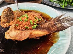 -六婶西关小厨(光塔路店)