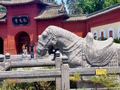 -洛阳白马寺