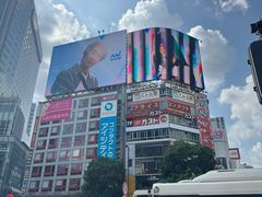 -涩谷全向十字路口
