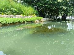 -成都市活水公园