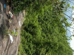 -广东茂名森林公园