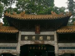 -中国观音故里广德景区