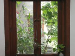 -铃木食堂(帽儿胡同店)