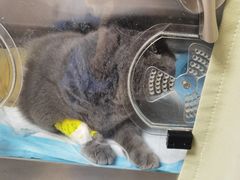 -谐和贝康宠物医院24小时·宠保定点(急重症转诊中心)