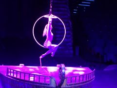 -珠海横琴长隆《卡卡虎奇遇记》