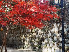 -塔川景区