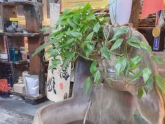 -食德喜·阳山鸡王食研基地