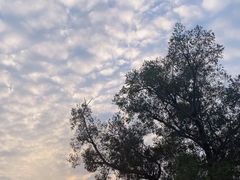 -吴氏老妈·23年家常菜(古城店)