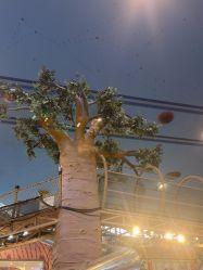 点击看大图 -卡通尼·Safari非洲探索乐园·生日会(金桥国际商业广场店)