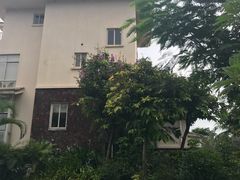 -三亚亚龙湾雅高美爵酒店