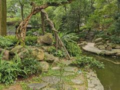 -南山植物园