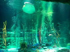 -沈阳海洋探索中心