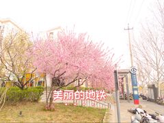 -田村(地铁站)