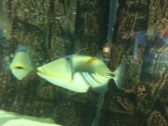 -北戴河圣蓝海洋公园