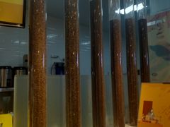 -50岚 鮮茶專賣連鎖(时代店)