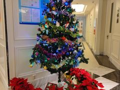 -宝燕壹号(长寿店)