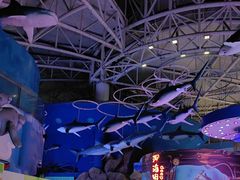 -烟台海昌鲸鲨海洋公园