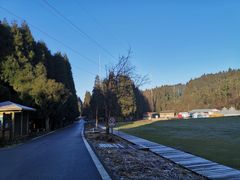 -武陵山森林公园