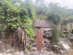 -西安国际创新人才交流中心•药浴温泉