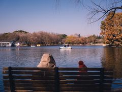 -上海共青森林公园