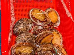 -邹开喜·炭炉鸡煲·海鲜火锅(虹口足球场店)