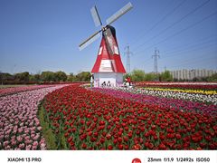 -菊园百果园