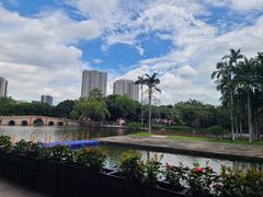 -荔湾湖公园