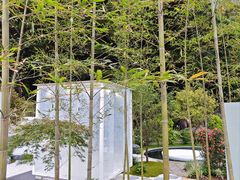 -深圳仙湖植物园